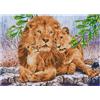 Diamond Dotz Famiglia Lion Diamond Dotz: 76x55 cm