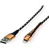 ROLINE-GOLD Cavo USB 2.0, USB A(M) - Lightning (M), con supporto, 1 m (11.02.8923)