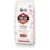 BRIT Granulo pre psov Brit Fresh Beef Puppy Large 12 kg