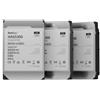 Synology Disco rigido interno Synology HAS5300-12T 12 TB 7200 RPM 256 MB 3,5" SAS
