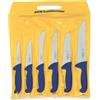 F. DICK Messer Set ErgoGrip Blockmesser Stechmesser Sortiermesser Ausbeinmesser