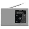 TECHNISAT Radio tragb. 1W UKW/DAB+ RDS BT AkkuWeck/Sleept ws