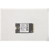 Lenovo 5SS0V42253 Unità interna a stato solido M.2 256 GB PCI Express (5SS0V42253)