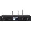 Telestar Dabman i510 BT - Lettore audio di rete - 5.1 - Stereo
