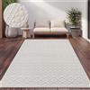 Paco Home Tappeto per esterni resistente alle intemperie Balcone Soggiorno Scandinavo Boho Unicolore Dimensioni 200x290 cm