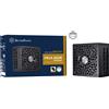 SilverStone HELA 850R Platinum