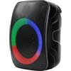 Rebeltec Bluetooth speaker Rebelt ec STAGE 300