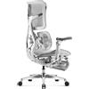 Diablo Sedia da ufficio Diablo Brave V-Kinetic Sedia da ufficio ergonomica per manager con poggiapiedi Braccioli 5D Supporto lombare in rete Seduta regolabile con capacità di carico fino a 120 kg, Colore: Grigio