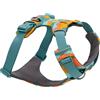 Ruffwear Pettorina per cani Ruffwear Front Range Harness, Colore:Spring Mountains, Taglia:XS