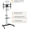 Equip Supporto da pavimento Equip 37"-86"/ 1TFT 50kg 1 ripiano silver lite retail