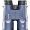 Bushnell H2O 2 10x42 con prismi a tetto