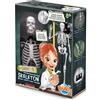 Buki France Scheletro gigante 45 cm - Anatomia per bambini