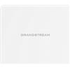 Grandstream WiFi-AccessPoint GWN7603