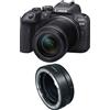 CANON EOS R10 + RF-S 18-150mm F3.5-6.3 IS STM + anello EF-EOS R
