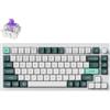 Keychron Q1 HE Tastiera senza fili RGB Nebula Interruttore magnetico (bianco) [Q1H-P1].