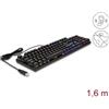 Delock 12115 DELOCK USB Gaming Tastatur 1,6m mit RGB Beleuchtung, schwarz