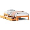 vidaXL Letto in legno massiccio con cassetti marrone cera 75x190 cm pino