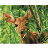 Diamond Dotz Diamond Painting Forest Babe mit Rahmen 33x41 cm