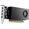 NVIDIA RTX A1000 - Grafica - RTX A1000 - 8 GB GDDR6 - PCIe 4.0 x8 a basso profilo - 4 x Mini DisplayPort