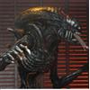 NECA copia di NECA ALIENS SERIES 8 ALIEN 3 DOG ALIEN BROWN ACTION FIGURE NEW NUOVO Neca