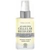 Big Buy Cooking Siero anti-età CELLULAR RECOVERY 50 ml