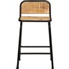 vidaXL Sgabello da bar 2 pezzi 46x35,5x70 cm Legno massiccio di mango grezzo