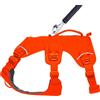 Ruffwear Imbracatura per cani Web Master Harness Blaze Orange, taglia: M