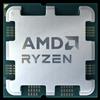 AMD Ryzen 9 9900X, AMD Ryzen™ 9, Pätica AM5, 4 nm, Tácka, AMD, 9900X