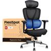FLEXISPOT Sentinel: sedia da ufficio ergonomica con supporto lombare Dual-Wing, poggiatesta 3D, braccioli 3D, profondità della seduta e schienale regolabili (nero)