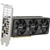 Asus Rtx5060-O8G-Lp-Brk 8Gb Gddr7 Hdmi Dp