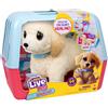 Moose - Pluszowa Maskotka Little Live Pets Cooper Retriever dla Dzieci
