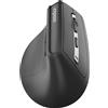 RAPOO EV310M.Grigio scuro MM Mouse ergonomico senza fili