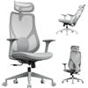 SENSE7 Moyo Sedia da ufficio ergonomica Sedia da scrivania Grigio Braccioli 3D Schienale in rete Supporto lombare Sedia direzionale Sedia per home office e PC 150 kg