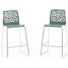 Idea New Garden Srl Set di 2 sgabelli da interno in resina con gambe in fibra di vetro e metallo - design moderno ed elegante, ideale per cucine e banconi - ANNA XL - verde salvia