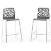 Idea New Garden Srl Set di 2 sgabelli da interno in resina con gambe in fibra di vetro e metallo - design moderno ed elegante, ideale per cucina e bancone - ANNA XL - Grigio scuro