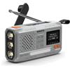 Marmitek RESQ 100 Radio digitale - grigio