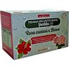 Naturwaren Dr. Theiss - Naturplus Tisana Fredda Ricostituente Rosa Canina e Ibisco, 18 filtri