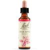 Schwabe Pharma Crab Apple Bach - Gocce floreali per l'ipocondria e il supporto emotivo, 20 ml