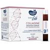 Sauber System Life - Collagene Integratore Alimentare, 10 flaconcini