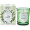Nasoterapia Hp Nasoterapia Lime e Foglie di Menta - Energia Candela Profumata, 180g