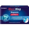 Naturwaren Dr. Theiss Maxi Mag Express - Integratore di magnesio per l'affaticamento muscolare, 14 stick