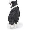 Papo - Statuetta Border Collie Realistica - 3 Anni + - Collezione Cani e Gatti - Gioco Educativo Animali Domestici - Idea Regalo Giocattolo Bambina Bambino