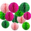 CC wonderland zone 12 palline di carta a nido d'ape verde e rosa, da appendere in carta velina Honeycomb Balls for Party Decoration (6 pollici e 10 pollici)