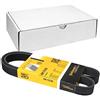CONTITECH 6PK1038 Cinghie Trapeiz