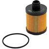 Magneti Marelli Parts & Services - Filtro Olio 71758768, Accessori Auto, Filtro Olio Motore Alta Filtrazione e Protezione per Ricambi Auto, Alta Compatibilità Nissan Juke e Altri