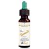 ALCHIMIA BENOIT SRL FIORI DI BACH BENOIT ROCK WATER 10 ML