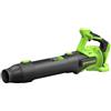 Greenworks Soffiatore a Batteria 24V Premium, Motore Brushless ad Alta Efficienza, 14,58 m³/min, 209 km/h, Tecnologia QUIETFORCE, Cruise Control - Solo Utensile BL24515A1