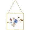 fujack Grande cornice portafoto in ottone da appendere per fiori pressati, 30,5 x 30,5 cm, doppio vetro trasparente, fai da te, opere d'arte fai da te, cornici con clip per esposizione di piante