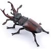 Papo - Statuetta Cervo Volante Realistica - 3 Anni + - Collezione Animali del Giardino - Gioco Educativo Insetti - Idea Regalo Giocattolo Bambina Bambino
