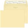 Blake Premium Business 114 x 162 mm 120 g/m2 Portafoglio Stacca e sigilla (51154) Vellum wove, Confezione da 500
